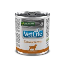 Вологий корм Farmina Dog Vet Life Convalescence для собак відновлення - 300 г